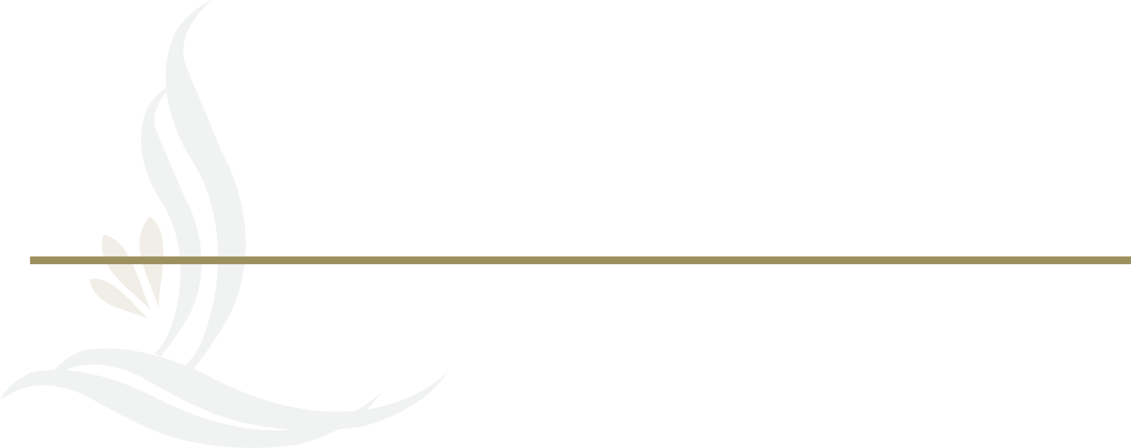 lacomo logo2
